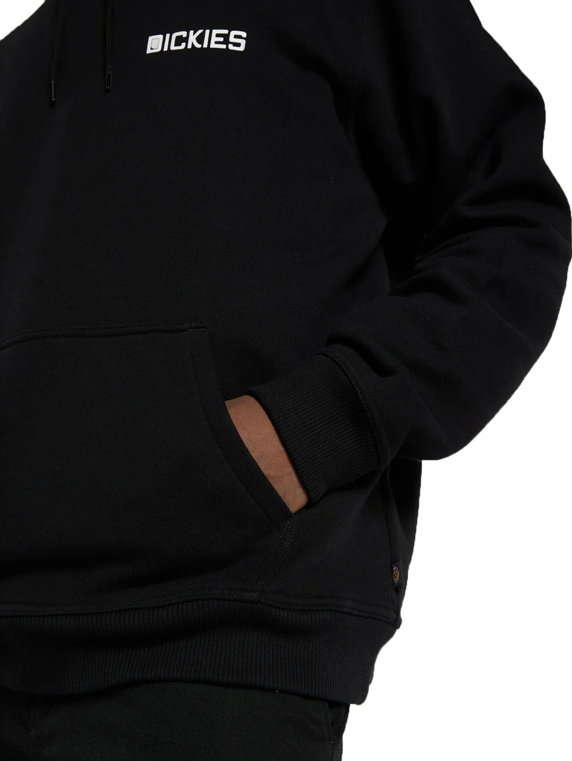 Dickies Payson hoodie, Black, L