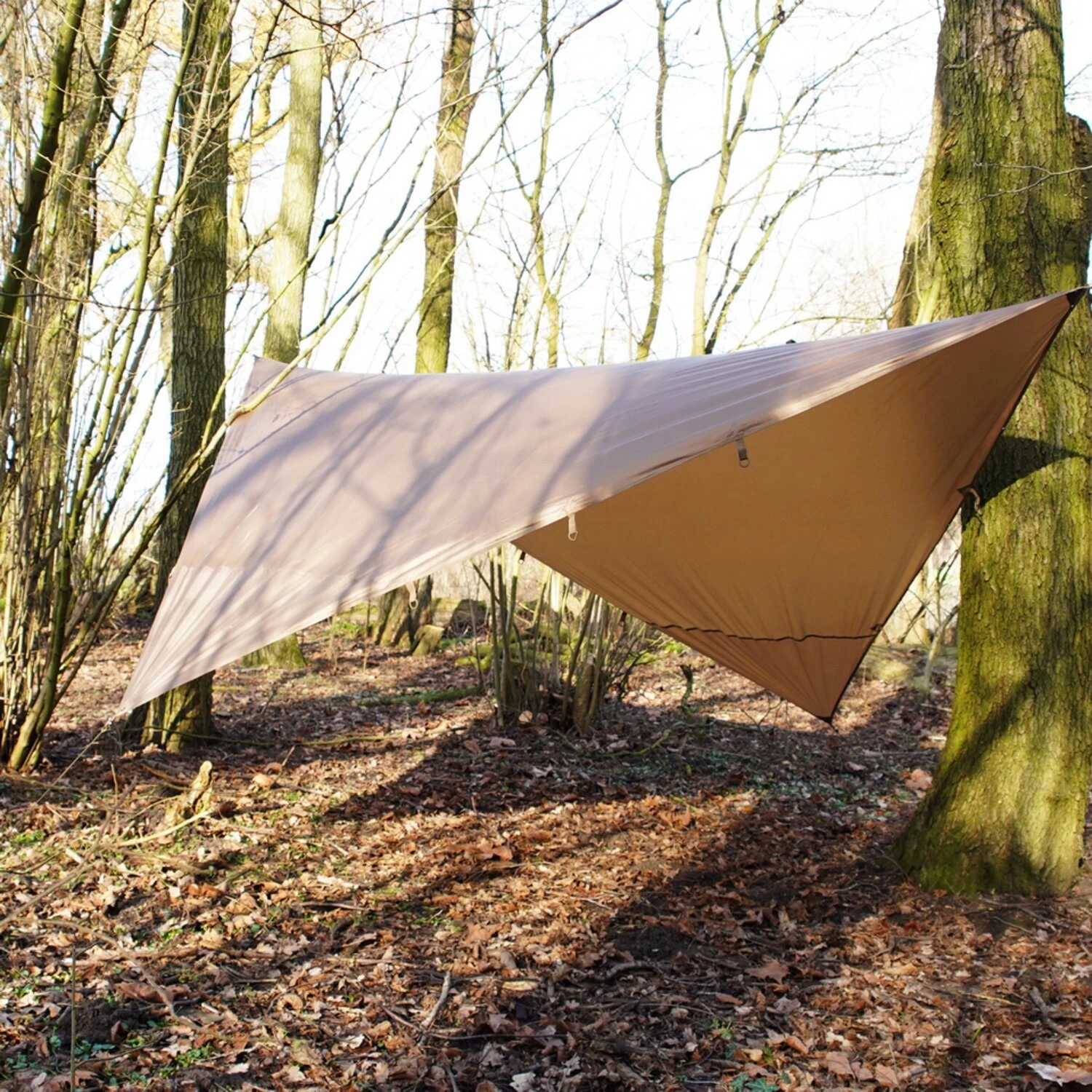 Fostex TF-2215 tarp wolf, Brown