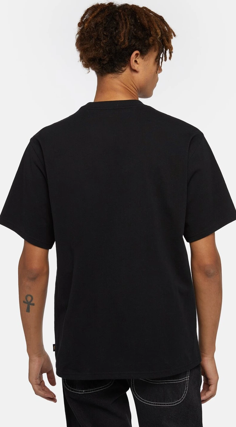 Dickies Clancy Heavyweight t-shirt, Black, L
