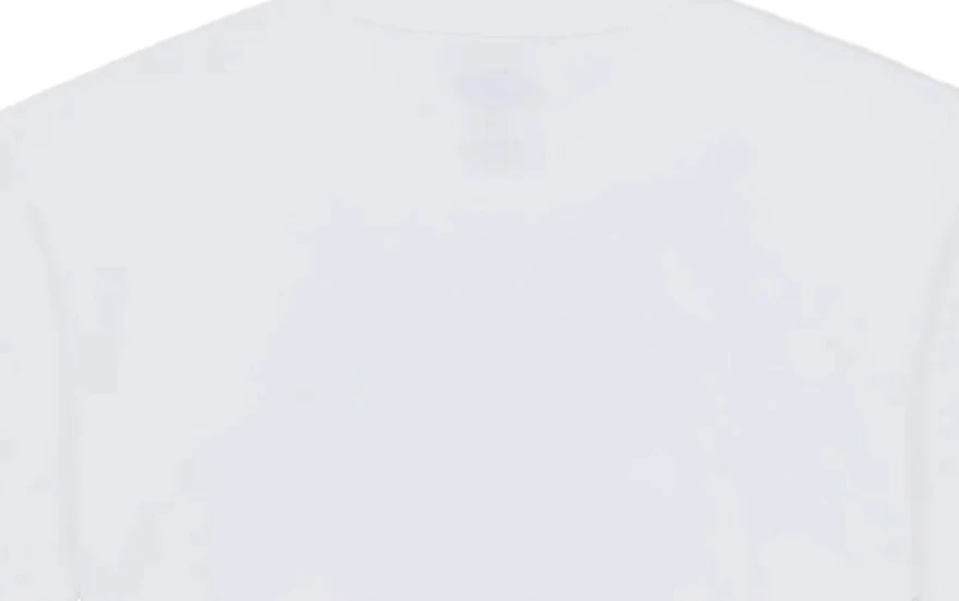 Dickies Icon Logo female t-shirt, White, M
