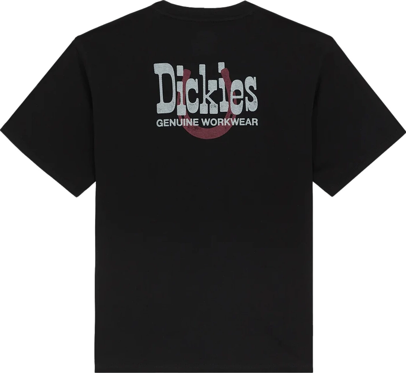Dickies Vernal t-shirt, Black, 2XL