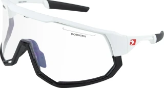 Freewheel Sunglasses