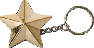 Triktopz Star key chain