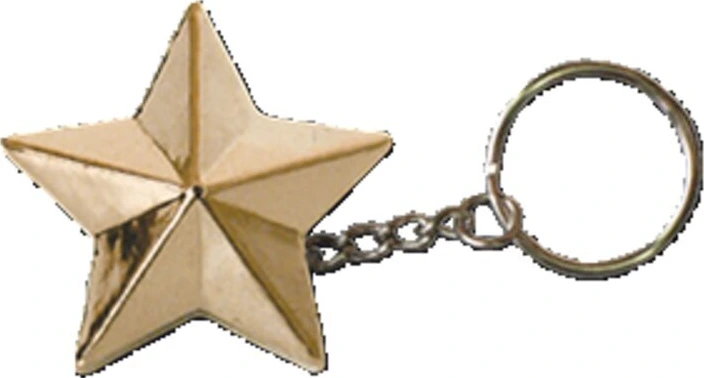 Triktopz Star key chain