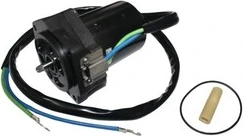Trim motors