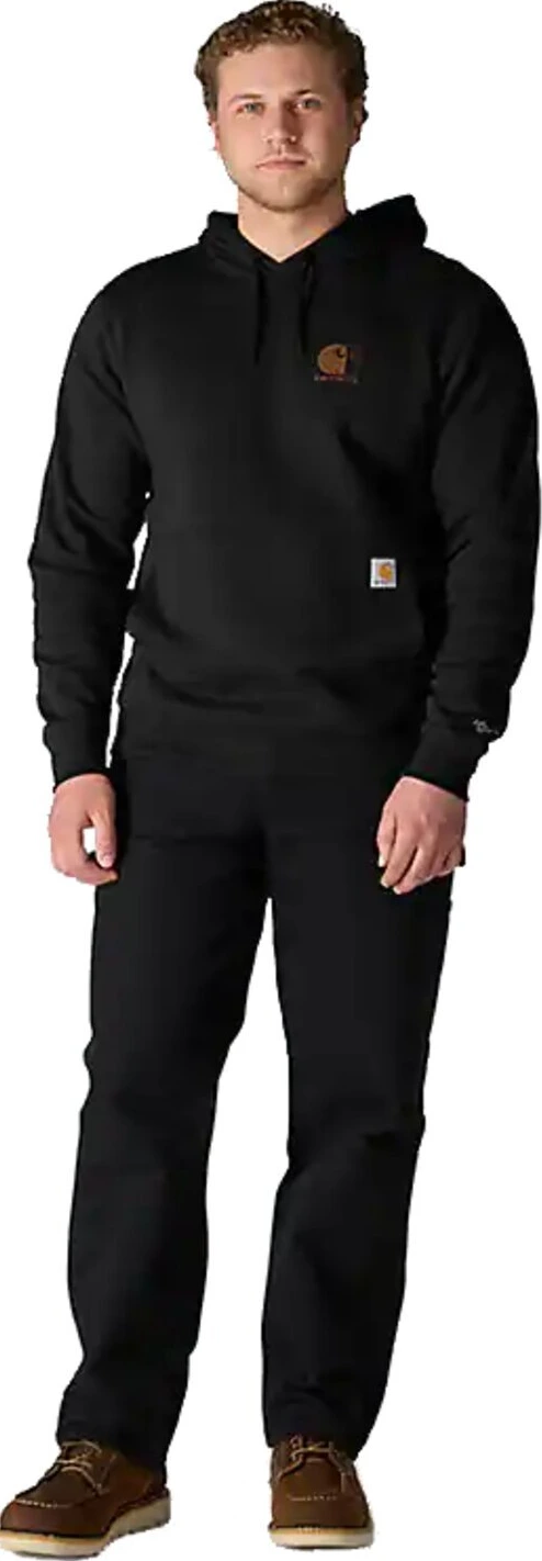 Carhartt Force™ Logo hoodie, Black, 2XL