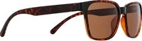 Spect Red Bull Eliot Sunglasses Shiny Havana w Brown lens