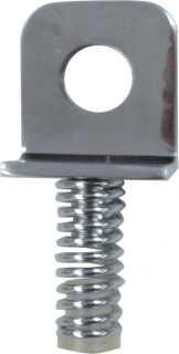 Rear caliper support spring