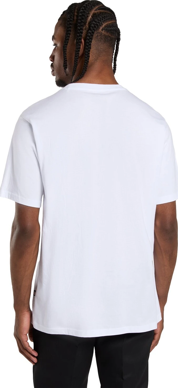 Dickies Mapleton t-shirt, White, 2XL