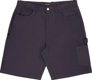 Santa Cruz Carpenter big shorts