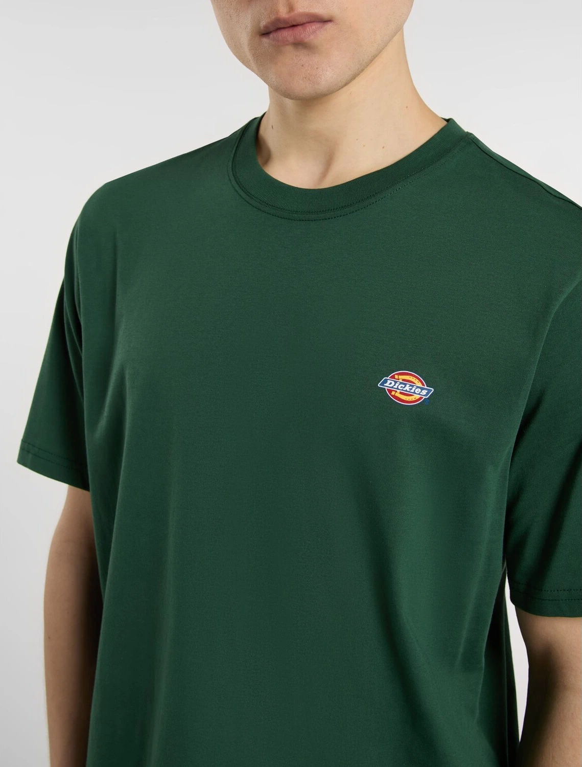 Dickies Mapleton t-shirt, pine needle Green, Green, S