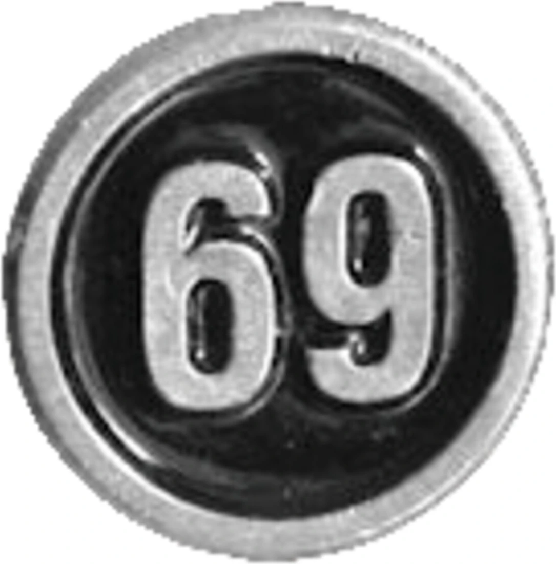 # 69 biker pin