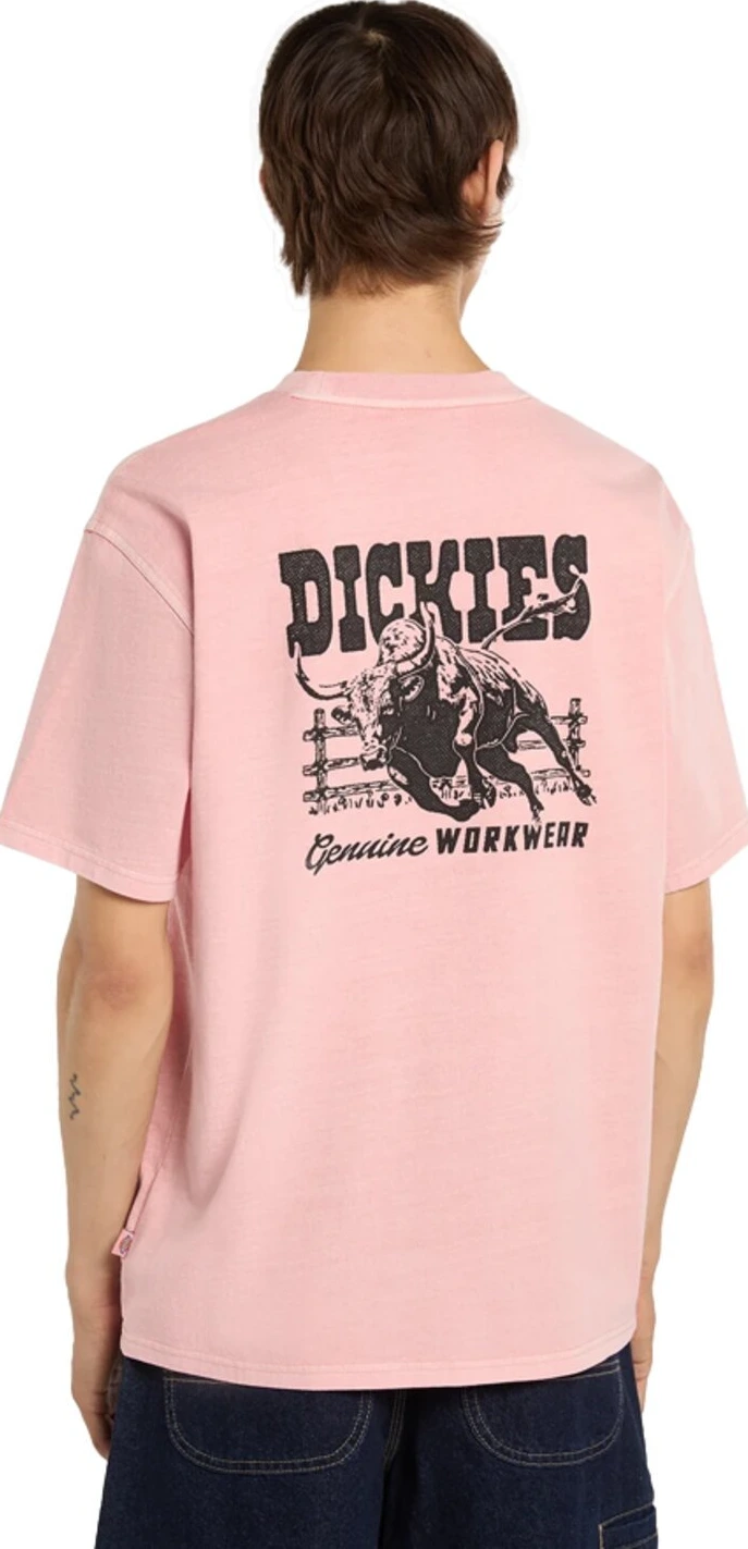 Dickies Buchtell t-shirt, bridal rose Pink, S