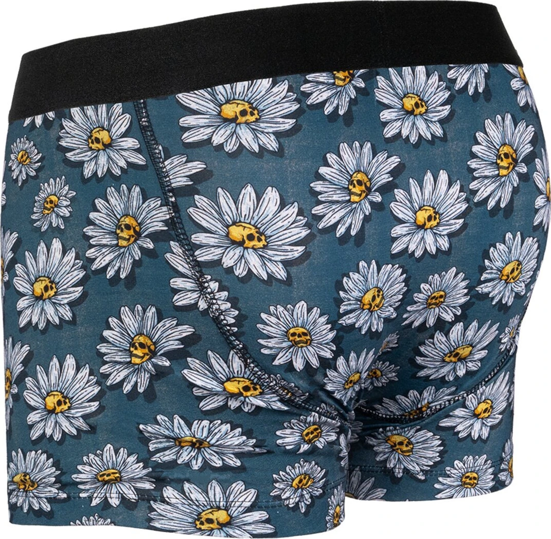 American Socks Daisies underwear, Blue, M