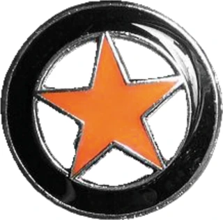 Biker pins Lone star pin