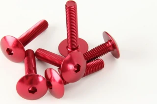 Varžtas Allen flat (M6x30)