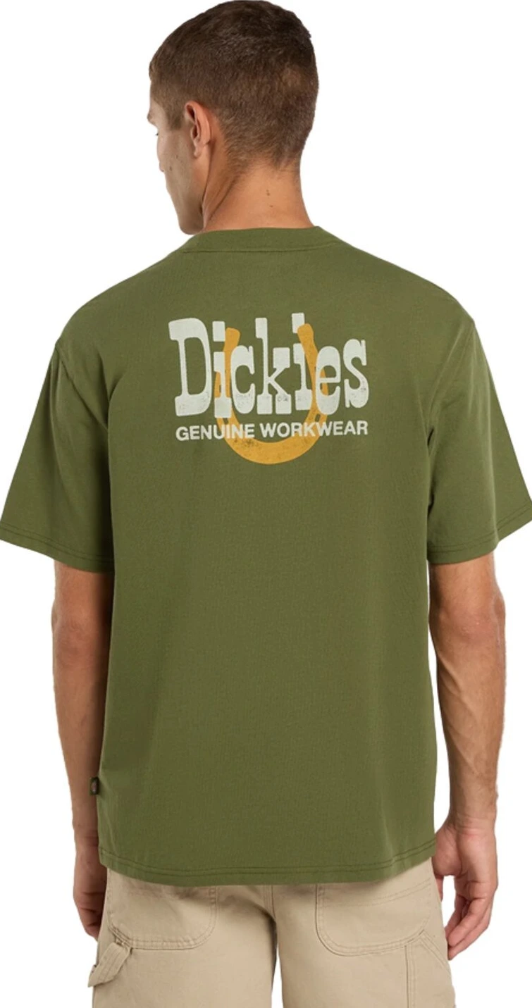 Dickies Vernal t-shirt, cypress Green, 2XL