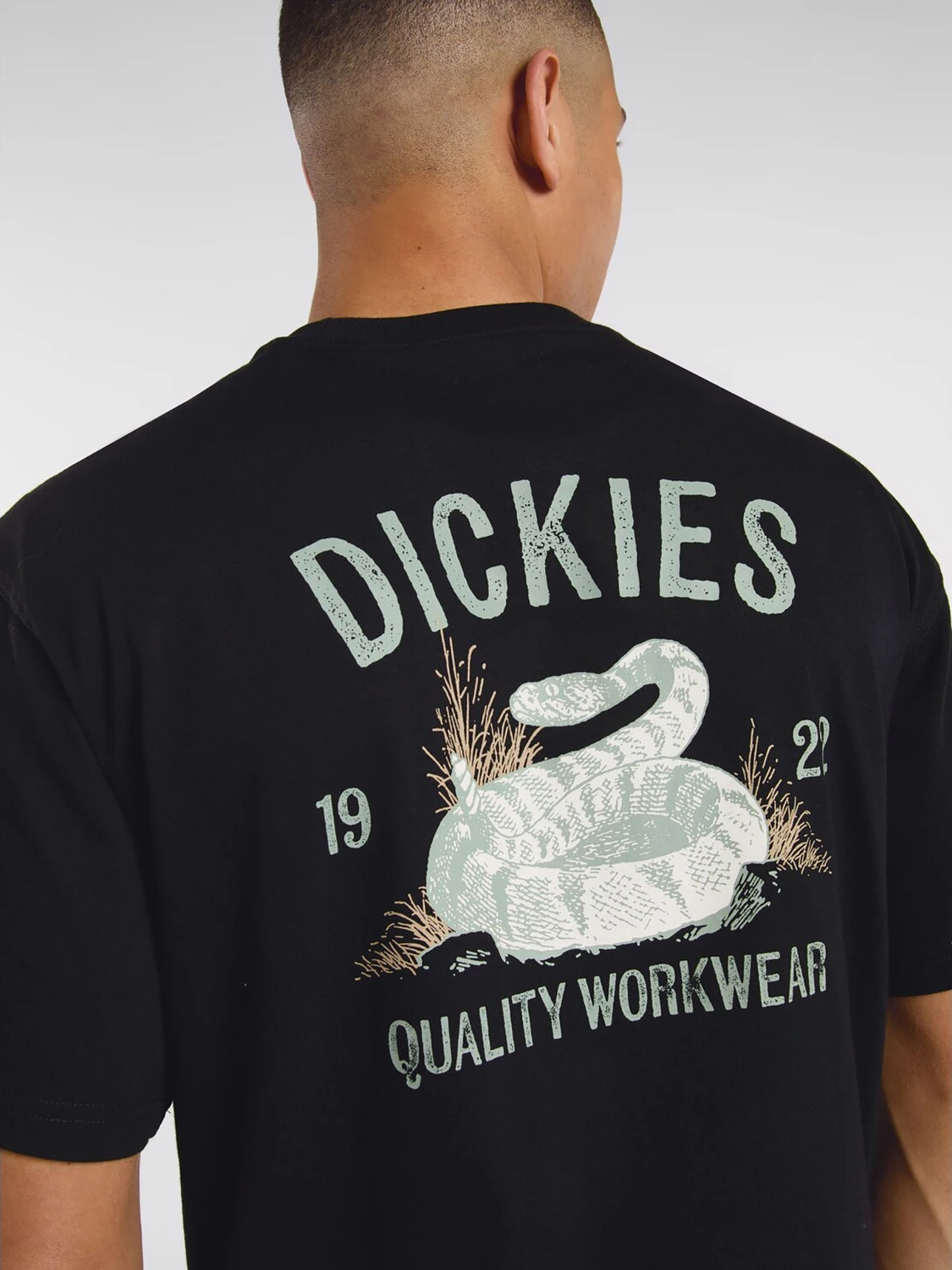 Dickies Snake t-shirt, Black, S