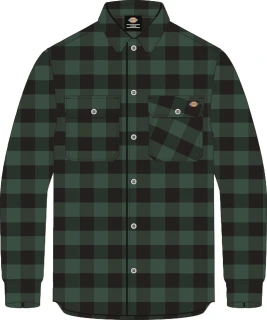 Dickies Sacramento shirt