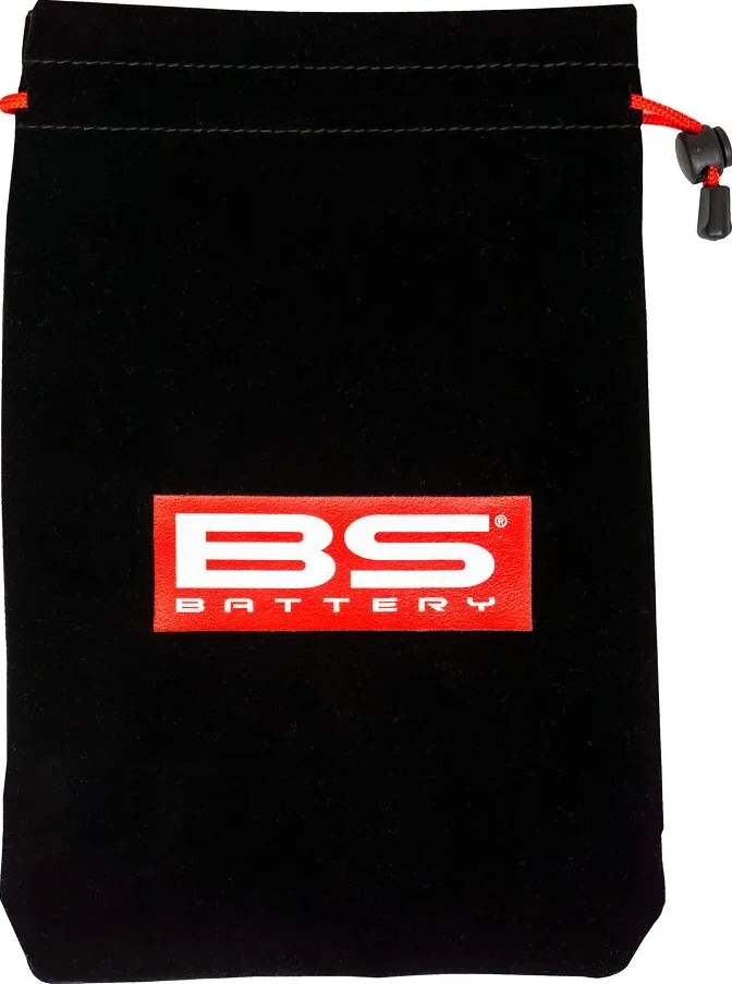 ĮKROVIKLIS BS10 6V/12V-1A - UK kištukas