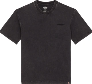 Dickies Plentywood t-shirt