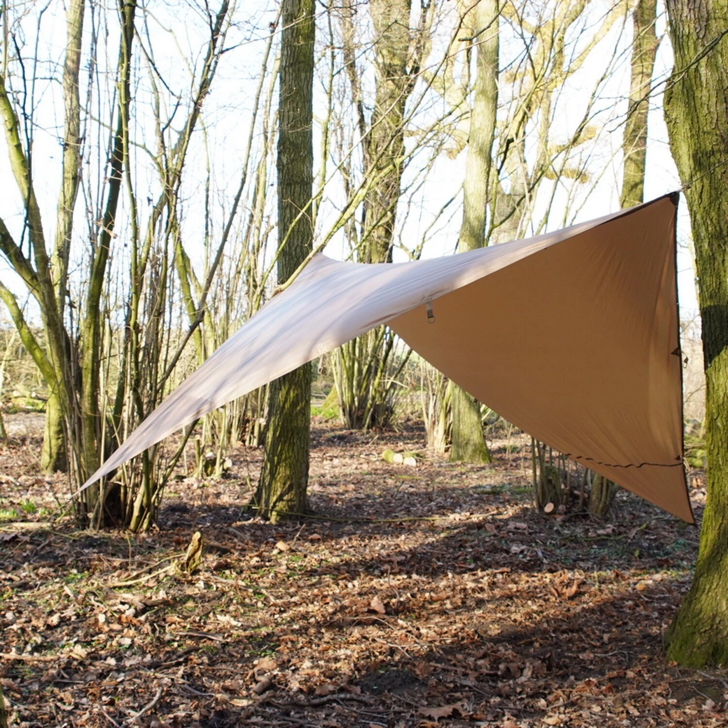 Fostex TF-2215 tarp wolf, Brown