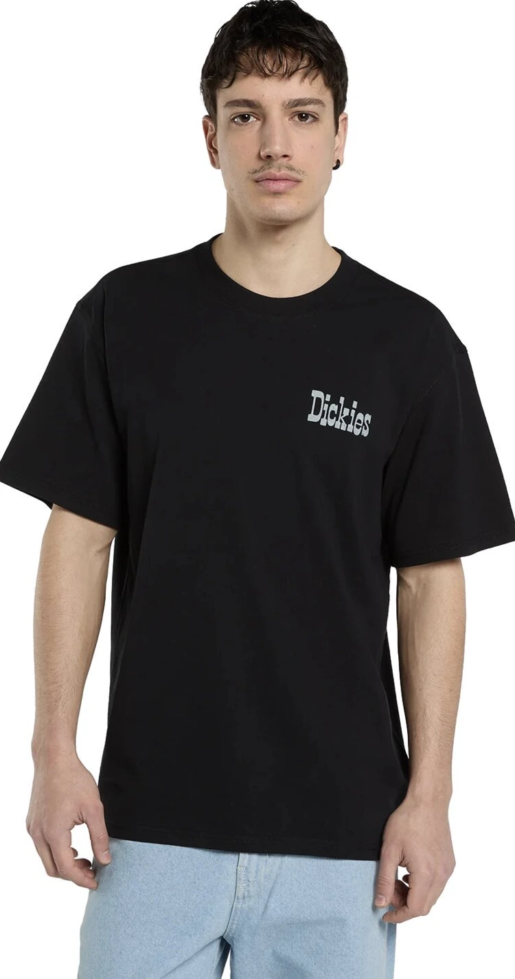 Dickies Vernal t-shirt, Black, 2XL
