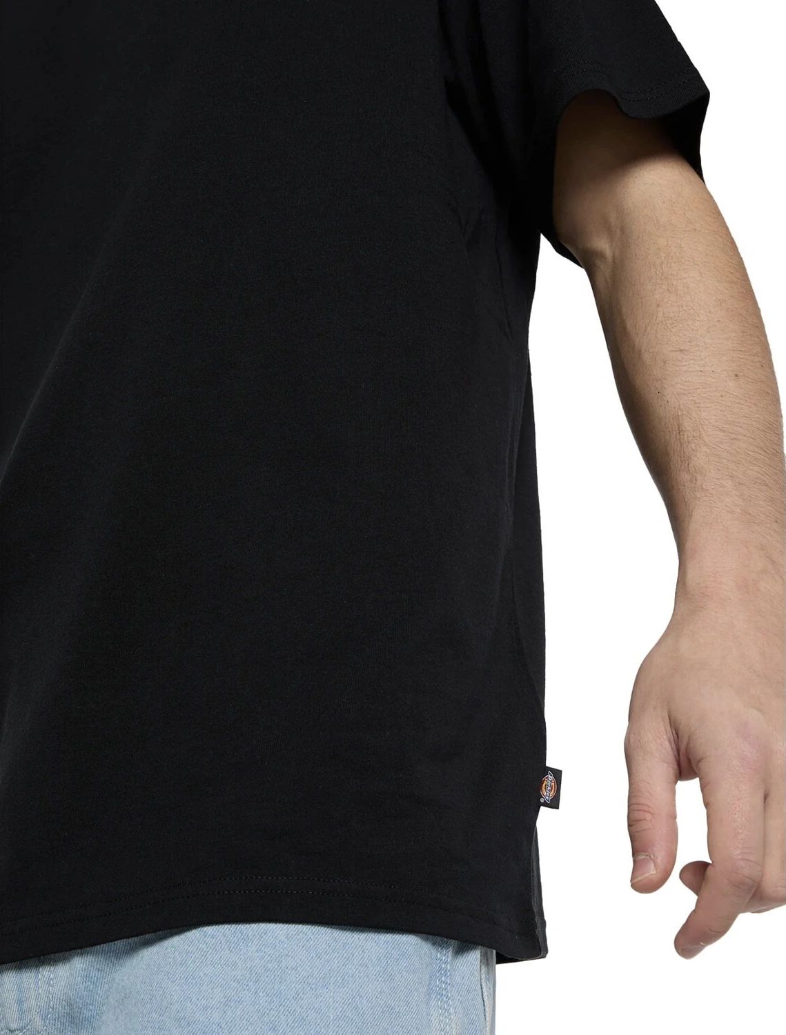 Dickies Vernal t-shirt, Black, 2XL