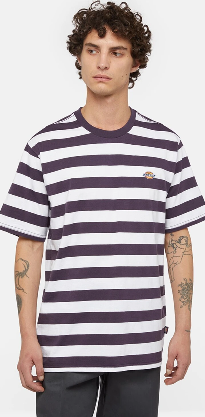 Dickies Rivergrove t-shirt plum perfect, Purple, S