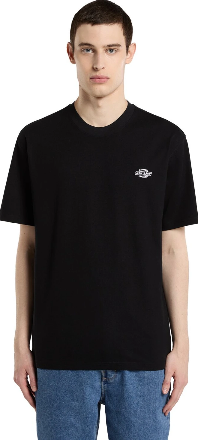 Dickies Summerdale t-shirt, Black, M