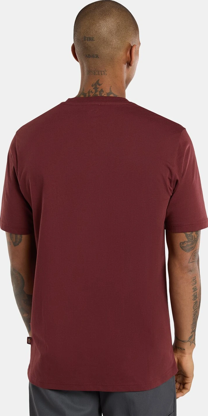 Dickies Mapleton t-shirt, andorra Red, XL