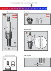 Champion Sparkplug 8698 Powersport