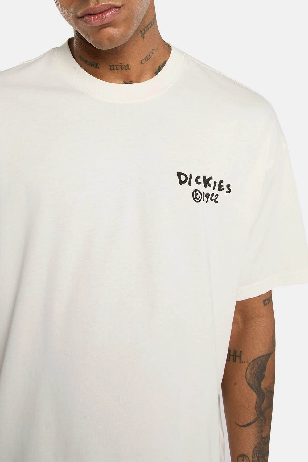 Dickies Sneedville t-shirt beige, XL