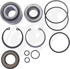 SBT Jetpump Rebuilt kit Sea Doo