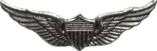 Biker pins Aviator wings pin