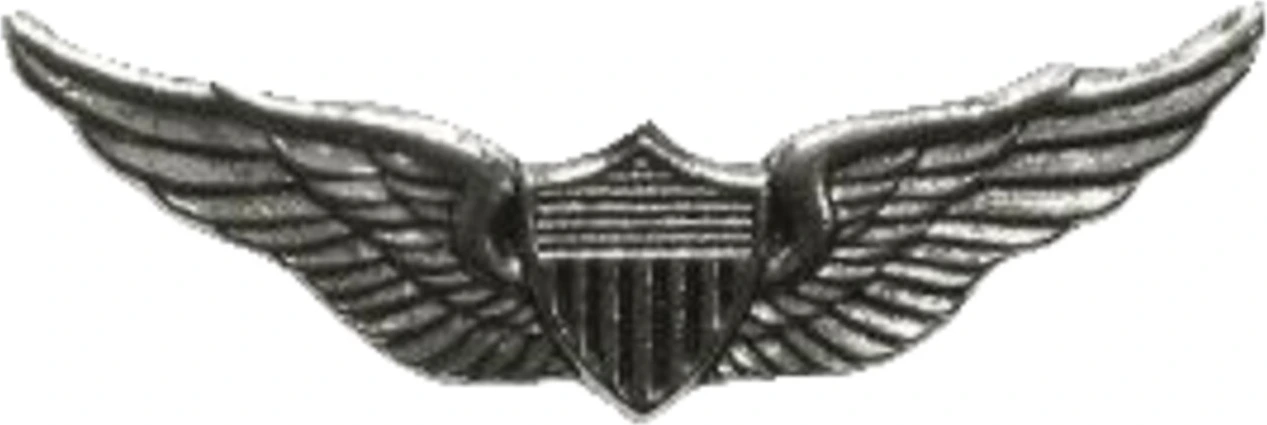 Biker pins Aviator wings pin, Silver