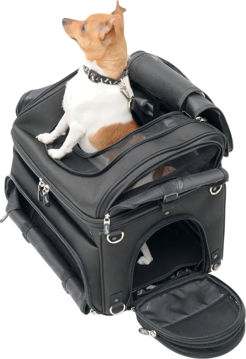 PET VOYAGER PC3200C