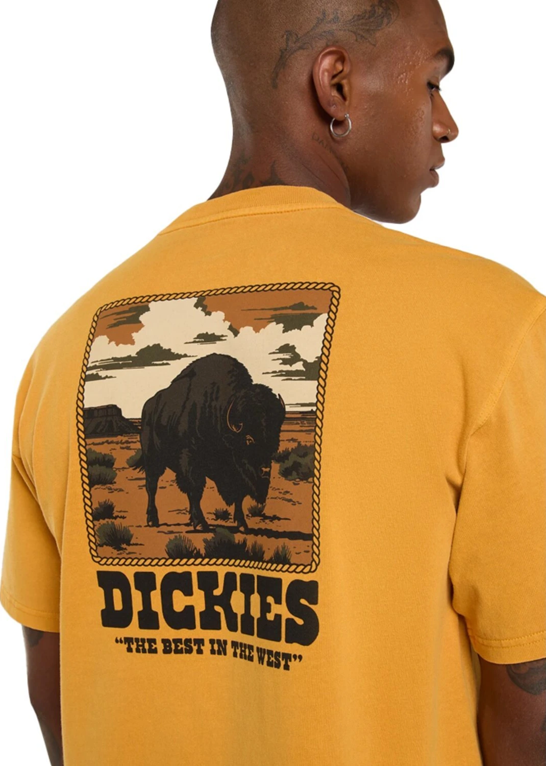 Dickies Darrtown t-shirt, sunflower Yellow, L