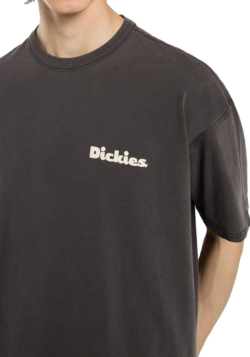 Dickies Slayden GD t-shirt black, 2XL