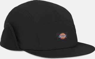 Dickies Glendive cap