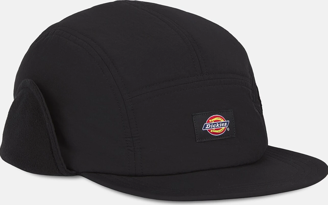 Dickies Glendive cap black