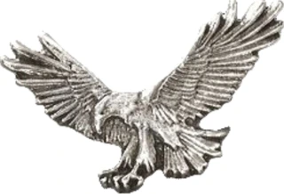 Biker pins Fishing eagle pin