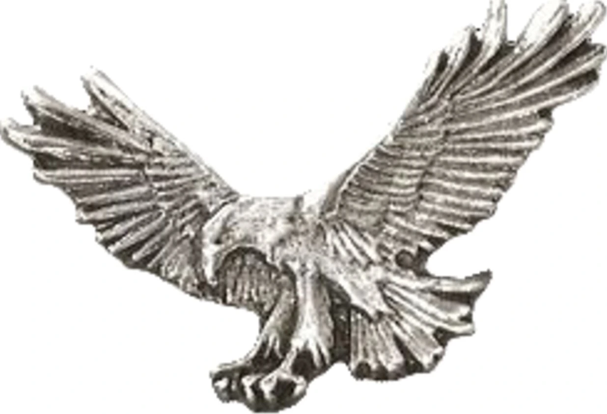 Biker pins Fishing eagle pin