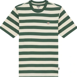 Dickies Rivergrove t-shirt pine needle