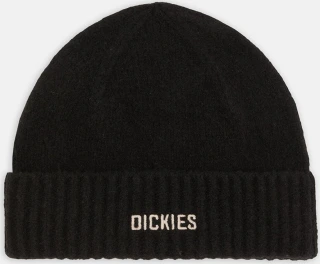 Dickies Harlowtown beanie