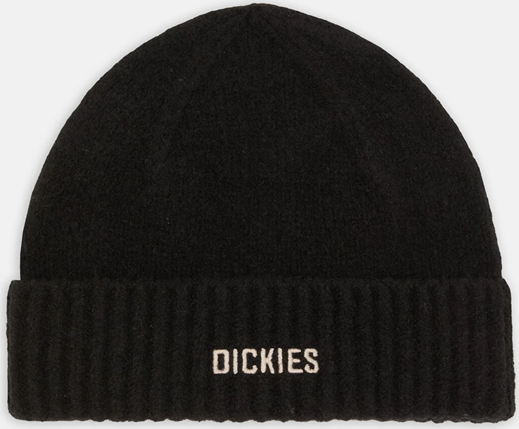 Dickies Harlowtown beanie, Black