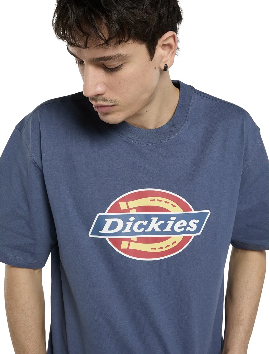 Dickies Icon Logo t-shirt, retro indigo, 2XL
