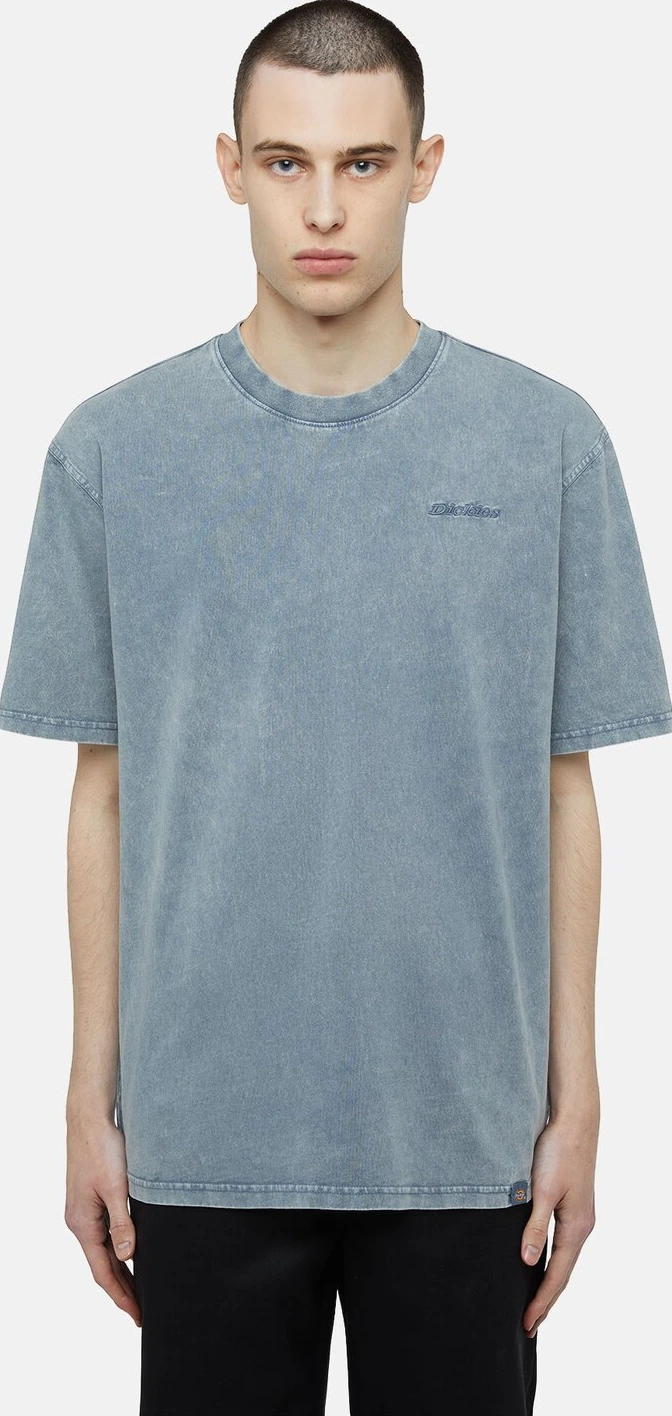Dickies Plentywood t-shirt stormy weather, Blue, L
