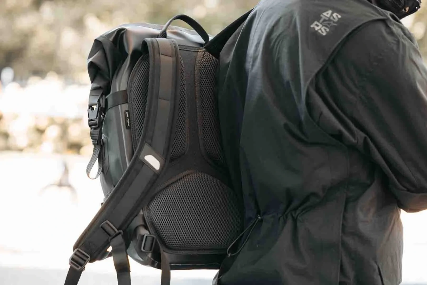 BACKPACK DAILY WP