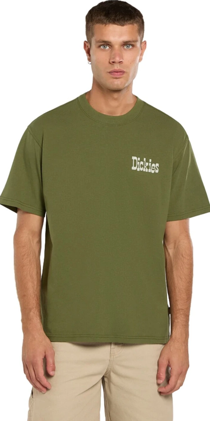 Dickies Vernal t-shirt, cypress Green, 2XL